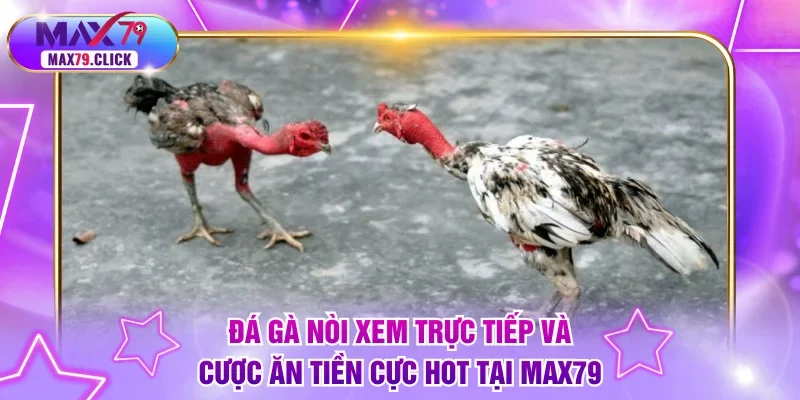 Đá gà nòi