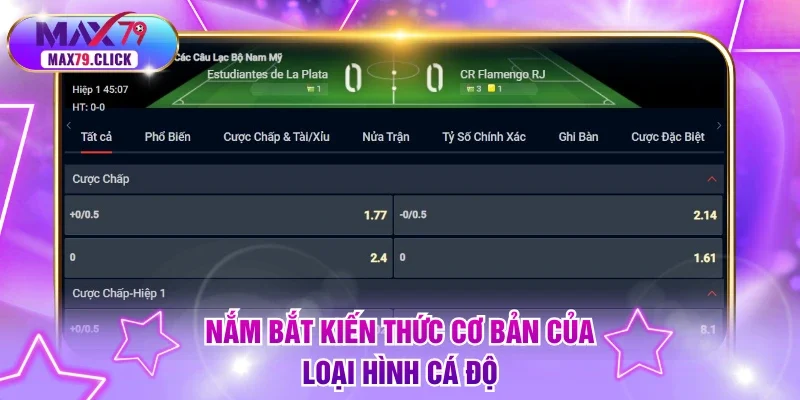 Nắm bắt kiến thức cơ bản của loại hình cá độ