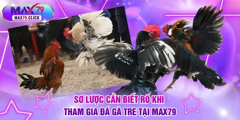 Sơ lược cần biết rõ khi tham gia đá gà tre tại MAX79