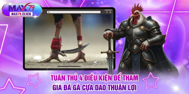 Tuân thủ 4 điều kiện để tham gia đá gà cựa dao thuận lợi